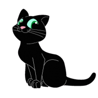 smileyblackcat smileyblackcat