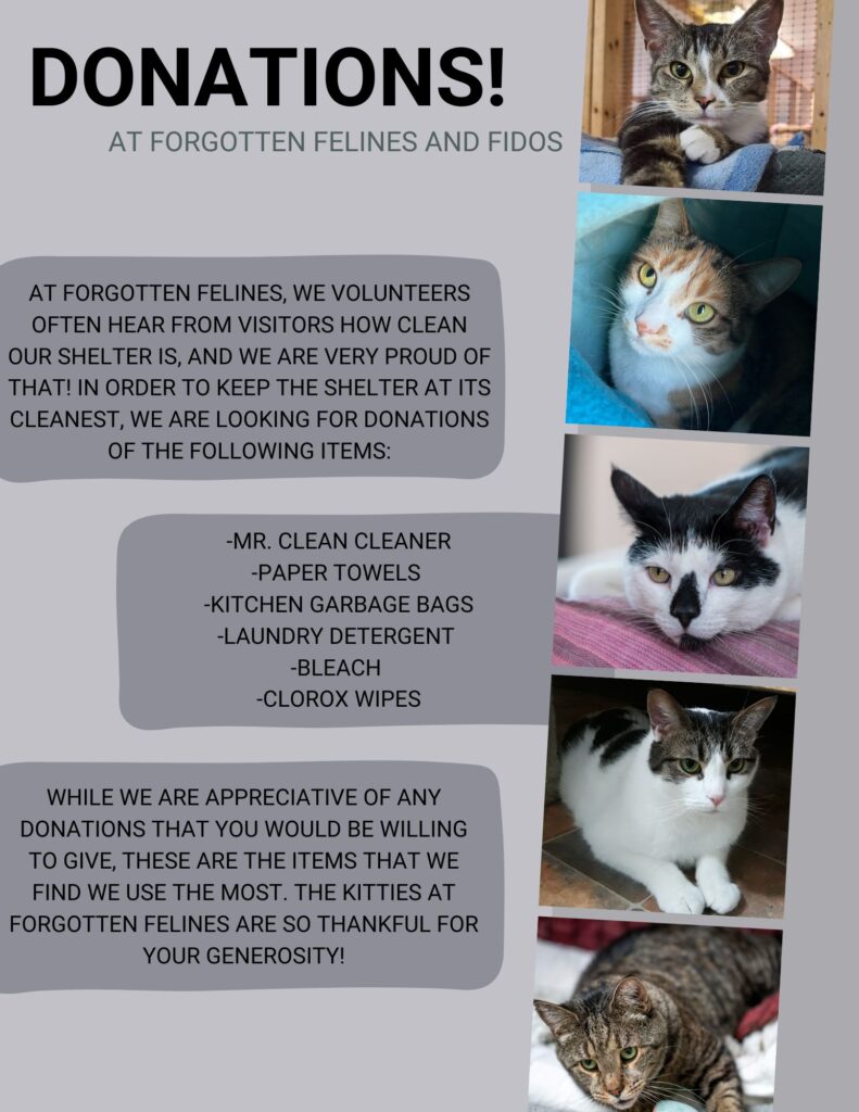 Supply Donations - Forgotten Felines and Fidos, Inc.