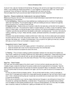 How to Introduce Cats - Forgotten Felines and Fidos, Inc.